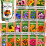 21 Semillas de Flores que Anhelamos Plantar en 2025