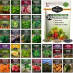 21 Semillas Fáciles de Cultivar para Jardineros Principiantes