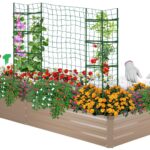 21 Verduras Ideales para Cultivar en Camas Elevadas