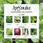 21 Verduras Ideales Para Huertos de Temporada Corta