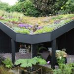 23 Cubiertas Vegetales Que Crecen Rápido en Jardines Inclinados