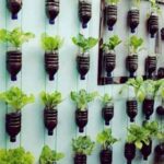 23 Ideas Ingeniosas para tu Huerto de Vegetales