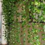 23 Plantas Colgantes de Ensueño para Adornar Muros de Jardín