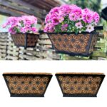 23 Plantas Ideales para Hermosos Maceteros de Ventana