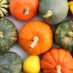 23 variedades distintas de calabaza de verano