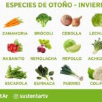23 Vegetales Esenciales para Sembrar Este Otoño