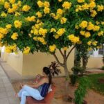 25 Árboles y Arbustos de Flores Amarillas Para Tu Jardín