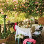 25 Hermosas Enredaderas Florales para Tu Hogar y Jardín