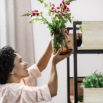 25 Plantas de Interior para Llenar tu Hogar de Color