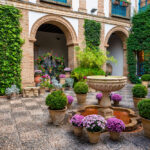 25 Plantas para Jardines de Estilo Español