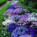 27 Arbustos Florales que Crean Hermosos Cercos de Privacidad