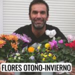 27 Flores Tempranas Perfectas para un Jardín de Primavera