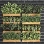 27 Plantas Esenciales para tu Huerto Elevado de Cocina