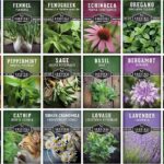 27 Plantas Patrimoniales Que Puedes Cultivar Desde Semilla