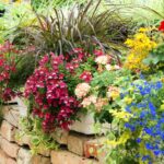 27 Plantas Perennes Fáciles para Embellecer tus Jardines