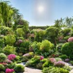 27 Plantas Sobresalientes que Embellecen tu Jardín Interior