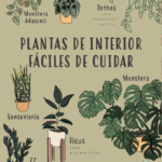 27 Plantas Tropicales que Prosperan en Interiores