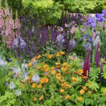 27 Variedades de Geum Imprescindibles para tu Jardín
