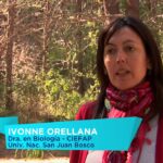 28 Plantas Invasoras a Eludir en el Noreste