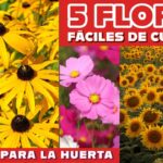 31 Plantas Nativas que Florecen a Finales del Verano