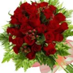 31 Variedades Hermosas de Rosas Rojas para Admirar