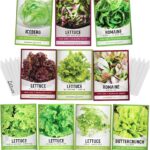 35 Variedades de Lechuga para Cultivar Este Año
