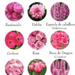 37 Flores Perennes Rosas con Nombres e Imágenes