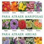 37 Plantas con Flores que Atraen Abejas Melíferas