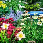 37 Plantas Esenciales para un Jardín Atractivo para Polinizadores