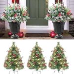 37 Plantas Festivas Centrales para Macetas Navideñas y Contenedores