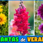 37 Plantas Florecientes que Deslumbran al Inicio del Verano