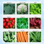 39 Verduras Invernales para Cultivar en Casa y Disfrutar