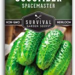 40 Variedades de Pepino Imprescindibles para Cultivar