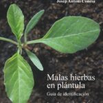 41 Malas Hierbas en Flor: Guía con Imágenes
