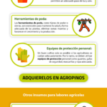 5 Insumos Esenciales para Iniciar tus Cultivos con Éxito