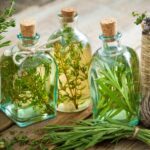 5 Pasos Fáciles para Crear Aceite con Romero del Jardín