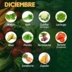 5 Razones para Pedir tus Semillas en Diciembre