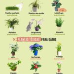 57 Plantas Tóxicas para Animales y 31 Opciones Seguras
