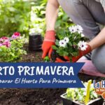 6 Consejos para Renovar Huertos Elevados en Primavera