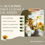 7 Formas de Ayudar a las Abejas a Invernar en tu Jardín