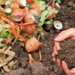 7 Métodos de Compostaje para Jardineros Domésticos