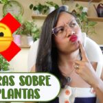 7 Mitos Sobre Plántulas que Deberías Dejar de Creer