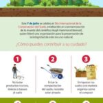 7 Pasos para Mejorar el Suelo Compacto Rápidamente
