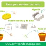 7 Trucos para Iniciar Semillas sin Bloqueador de Tierra