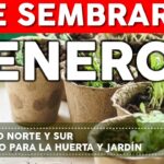 7 Ventajas de Sembrar en Enero Durante el Invierno