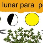 9 Arbustos Populares para Podar en Febrero