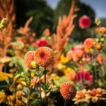 9 Claves para Mejorar el Encanto de tu Jardín este Otoño