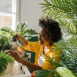 9 Consejos Clave para Trasladar Plantas de Interior en Invierno