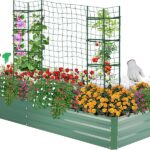 9 Consejos para Cultivar un Jardín de Flores en Camas Elevadas