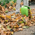 9 consejos para preparar tu jardín otoñal para el invierno